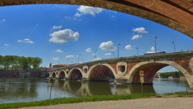 Nettoyage des berges de la Garonne par des volontaires