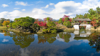 Les haïkus d’origine japonaise visent à exprimer de façon synthétique et symbolique la beauté, l’émotion contenue dans la Nature.