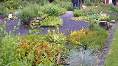 La permaculture permet de dessiner et créer des îles-jardins, une forêt-jardin, un jardin-mandala