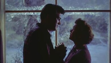 "Tout ce que le ciel" permet de Douglas Sirk