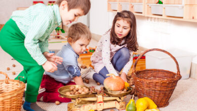 Les périodes sensibles de l'enfant sont celles du langage, du mouvement, du développement sensoriel, de la fascination pour les petits détails, de l'ordre et de la socialisation.