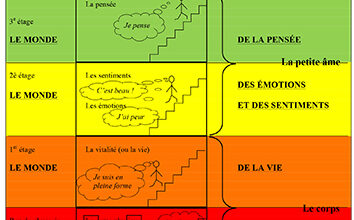 Schéma plan du corps humain