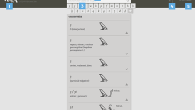 VEgA recense les mots de la langue égyptienne antique.